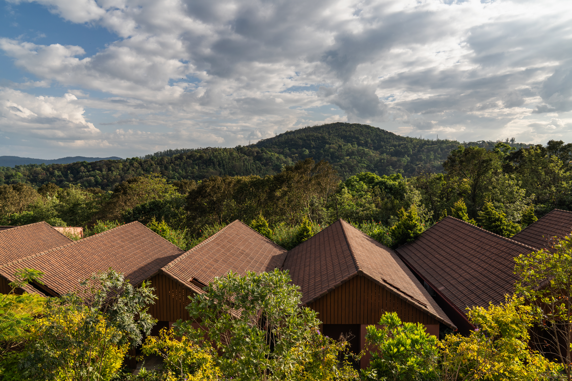 Row of terracotta-roofed cottages overlooking a dense forest and mountain landscape.